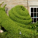 Snail topiary at Snail Trail B&B