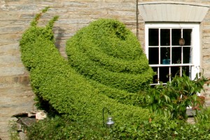 Snail topiary at Snail Trail B&B