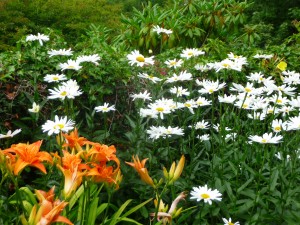 Garden at Snail Trail B&B